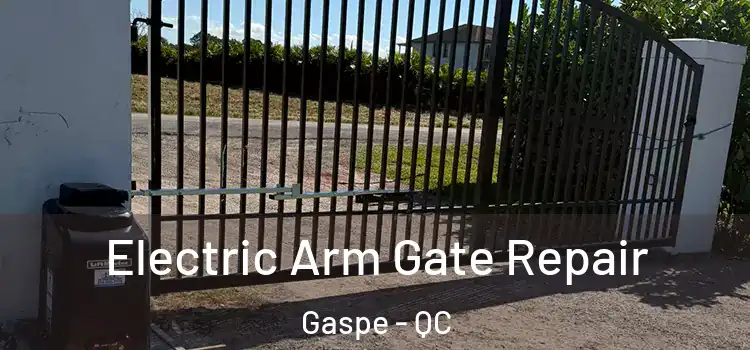 Electric Arm Gate Repair Gaspe - QC