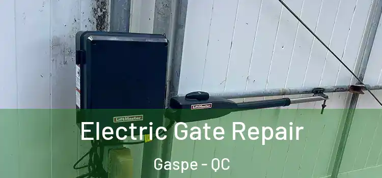 Electric Gate Repair Gaspe - QC