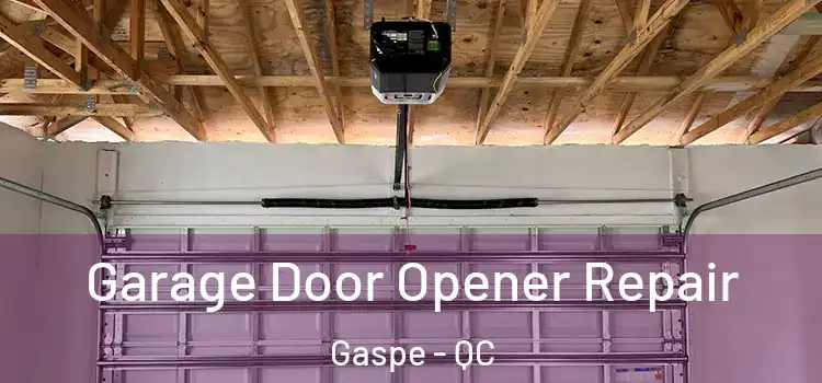  Garage Door Opener Repair Gaspe - QC