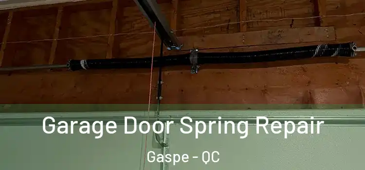  Garage Door Spring Repair Gaspe - QC