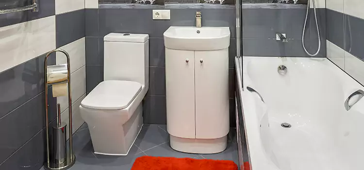Hansgrohe Shaving Mirror Gaspe