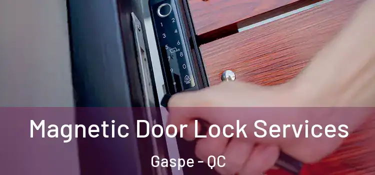 Magnetic Door Lock Services Gaspe - QC